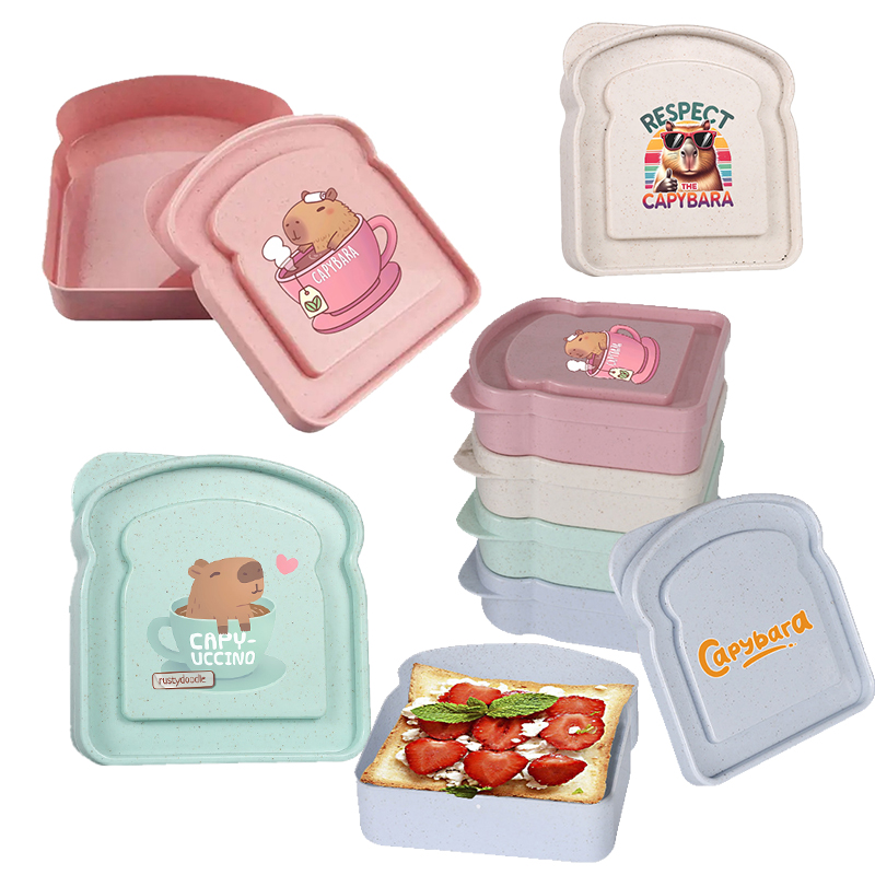 Food Storage Containers Plastic Box - Capybara Sandwich Voedselopbergdoos Container Salade Fruit
