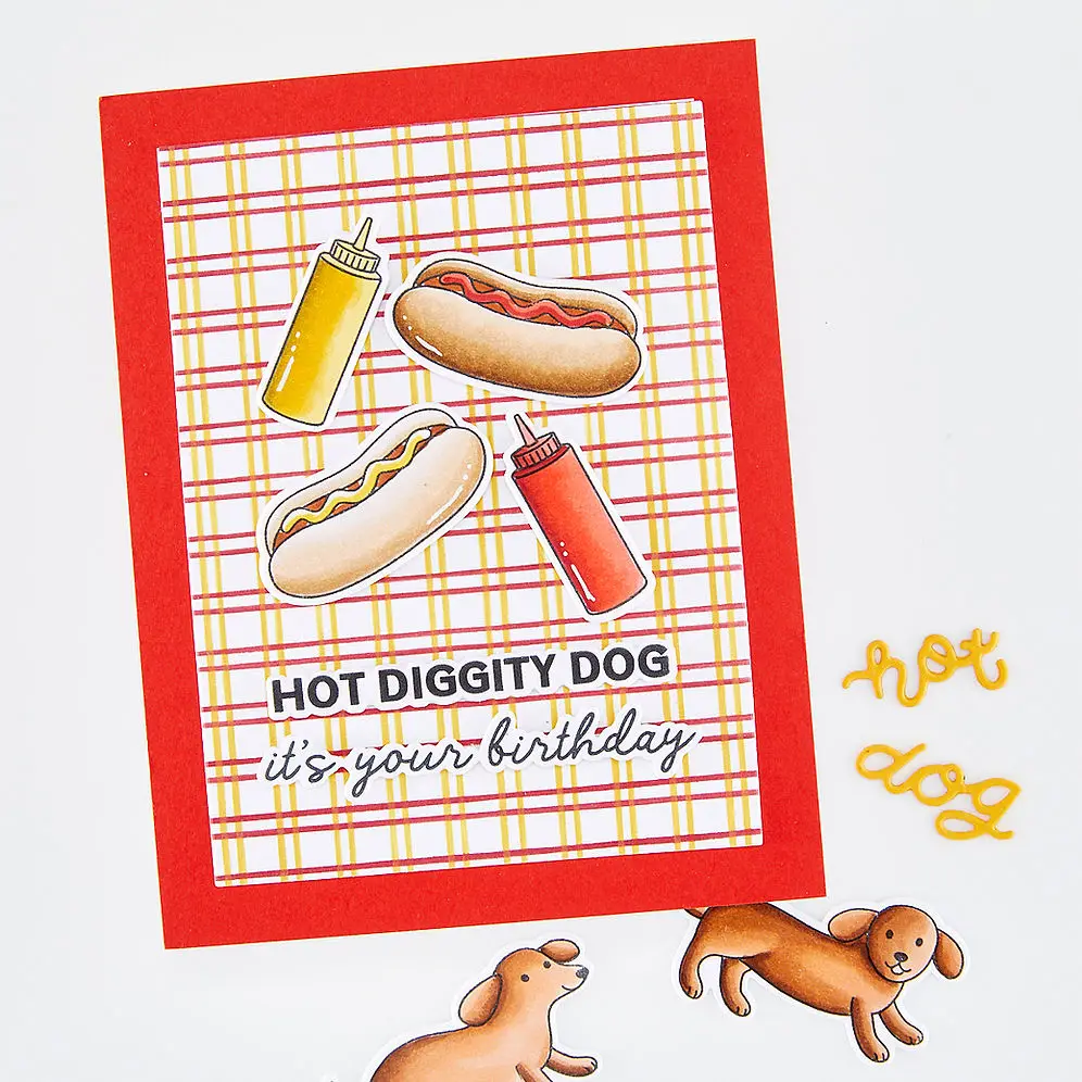 Hot Diggity Dog Knijpfles Meta - Food Storage Hot recensie en prijs