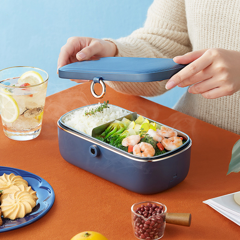 Elektrische Verwarming Lunchbo - Food Storage Reserve recensie en prijs
