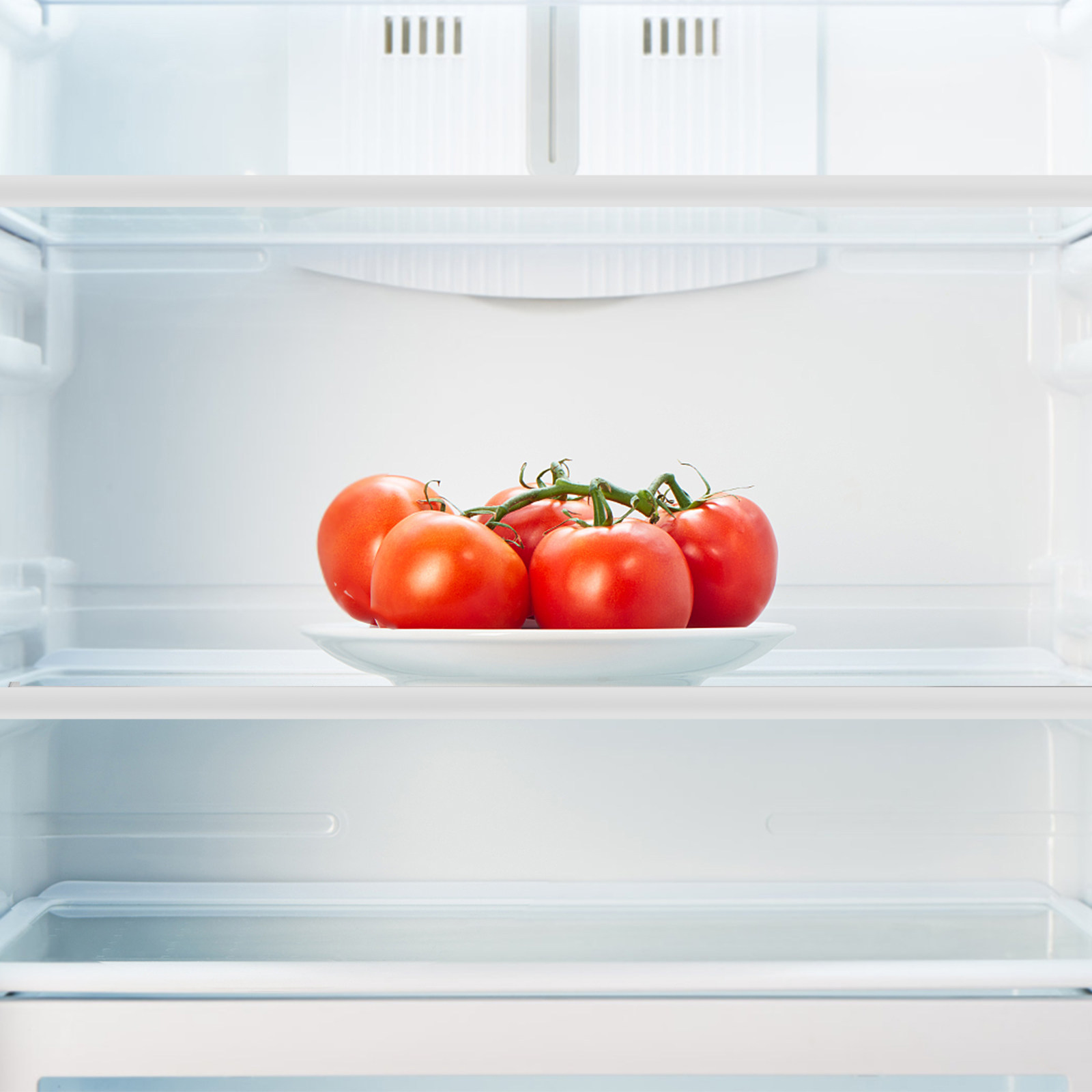 Koelkast glazen plankverdeler, - Food Storage Dividers recensie en prijs